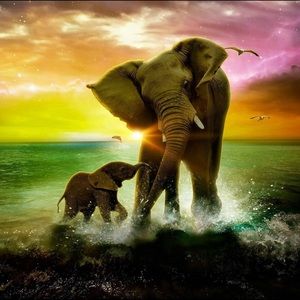 Meet your Posher, Aaliyah